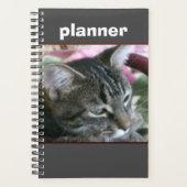 Tiger Stripe Kitty Planner Planer (Vorderseite)