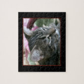 Tiger Stripe Kitty Puzzle (Vertikal)