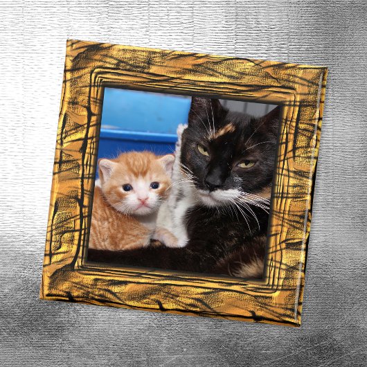 Tiger Stripes Foto Magnet