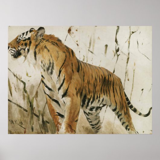 Tiger-Studie von Wilhelm Kuhnert Poster (Vorne)