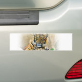 Tiger, Suche_ Autoaufkleber (Auf Auto)
