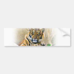Tiger, Suche_ Autoaufkleber