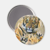 Tiger, Suche_ Magnet (Vorderseite/Rückseite)