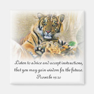 Tiger, Suche_ Magnet