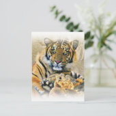 Tiger, Suche_ Postkarte (Stehend Vorderseite)