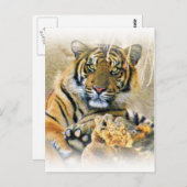 Tiger, Suche_ Postkarte (Vorne/Hinten)