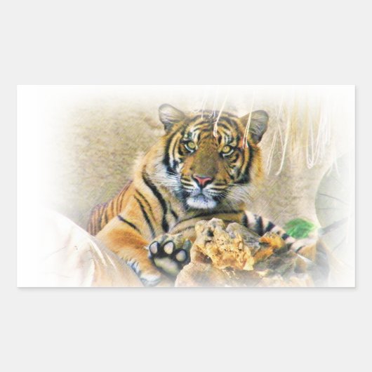 Tiger, Suche_ Rechteckiger Aufkleber (Vorderseite)