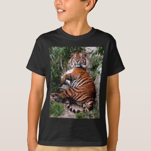 Tiger T-Shirt (Vorderseite)