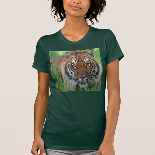 Tiger T-Shirt (Vorderseite)