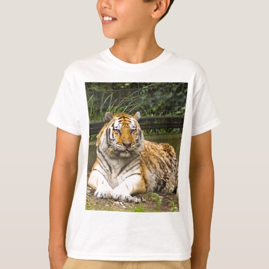 Tiger T-Shirt (Vorderseite)