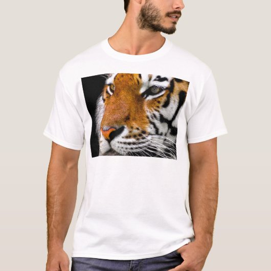 Tiger T-Shirt (Vorderseite)