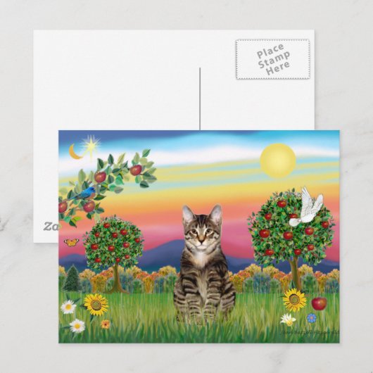 Tiger Tabby Cat 1 - Helles Land Postkarte (Vorne/Hinten)