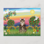 Tiger Tabby Cat 1 - Helles Land Postkarte (Vorderseite)