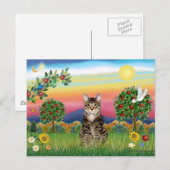 Tiger Tabby Katze 1 - Helle Landschaft Postkarte (Vorne/Hinten)