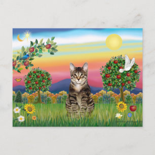 Tiger Tabby Katze 1 - Helle Landschaft Postkarte