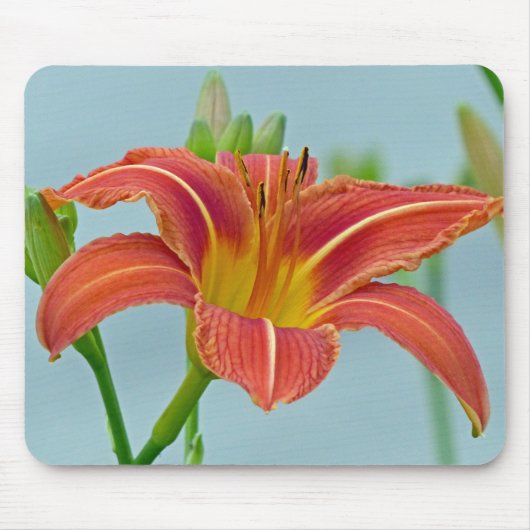 Tiger-Taglilie Mousepad (Vorne)