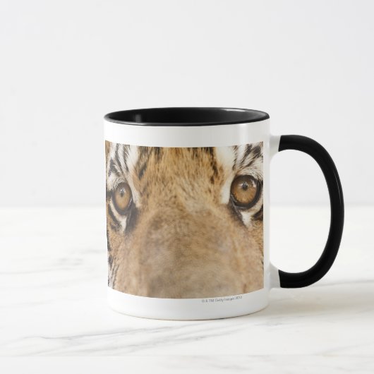 Tiger Tasse (Rechts)