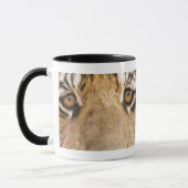 Tiger Tasse (Links)