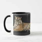 Tiger-Tasse Tasse (Links)