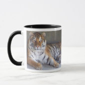 Tiger-Tasse Tasse (Links)