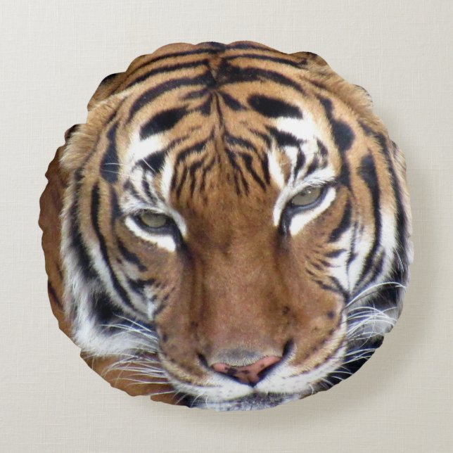 Tiger Throw Kissen (Vorderseite)