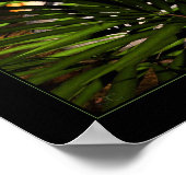 Tiger, Tiger, brennendes helles Poster (Ecke)