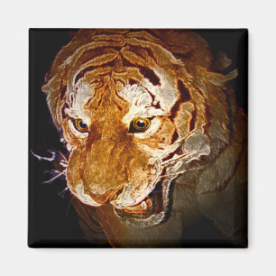 Tiger, Tiger in der Nacht… Magnet