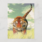 Tiger Tiger! Postkarte (Vorderseite)