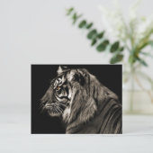 Tiger Tiger Postkarte (Stehend Vorderseite)