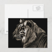 Tiger Tiger Postkarte (Vorne/Hinten)