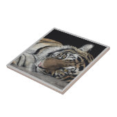 Tiger Tile Fliese (Seite)
