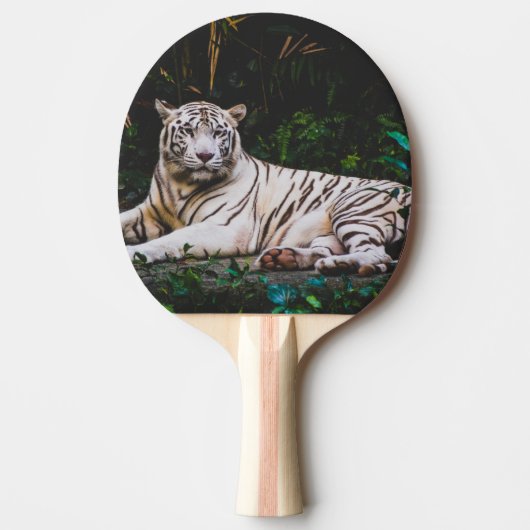 Tiger Tischtennis Schläger (Vorderseite)