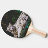 Tiger Tischtennis Schläger (Seitenansicht)