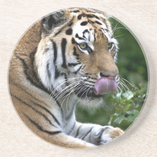 Tiger Tongue Getränkeuntersetzer (Vorne)