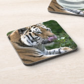 Tiger Tongue Untersetzer (Linke Seite)