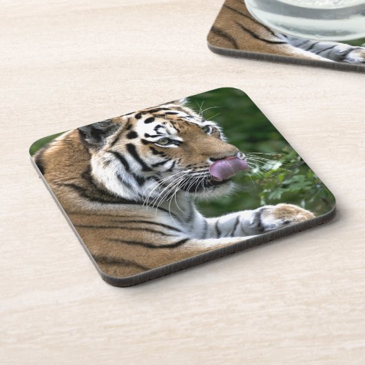 Tiger Tongue Untersetzer (Linke Seite)