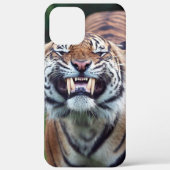 "Tiger Tooth" Case-Mate iPhone Hülle (Rückseite)