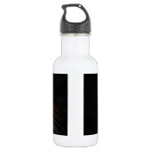 Tiger Trinkflasche (Rückseite)