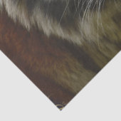 Tiger Tropical Palm Seidenpapier (Detail)