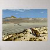 Tiger über die Uhr von Jean-Léon Gérôme Poster (Vorne)