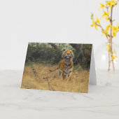 Tiger über die Uhr | Wilhelm Kuhnert Karte (Gelbe Blume)