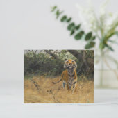 Tiger über die Uhr | Wilhelm Kuhnert Postkarte (Stehend Vorderseite)