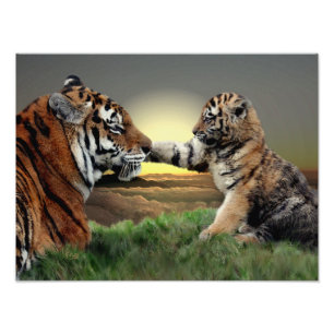 Tiger-und Ausgaben-Druck CUBs Digital Fotodruck