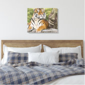 Tiger und Buddha Leinwanddruck (Insitu (Schlafzimmer))
