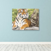 Tiger und Buddha Leinwanddruck (Insitu (Holzboden))
