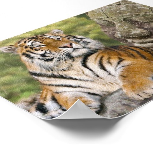 Tiger und buddhistischer Tempel Poster (Ecke)