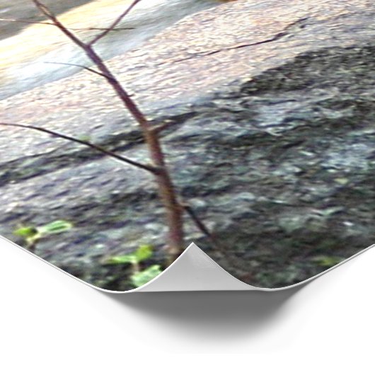 Tiger und Cube Liebe Poster (Ecke)