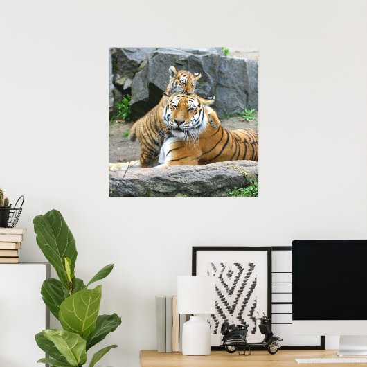 Tiger und Cube Liebe Poster (Heimbüro)