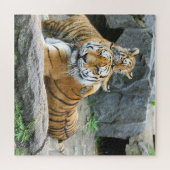 Tiger und Cube Liebe Puzzle (Horizontal)