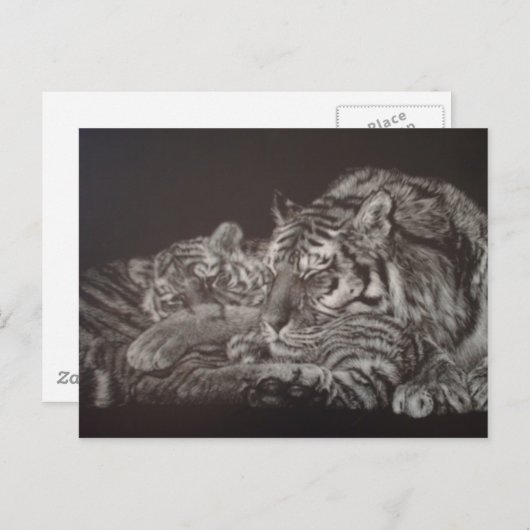 Tiger und Cube Postcard Postkarte (Vorne/Hinten)